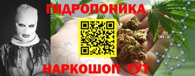 каннабис Дубна